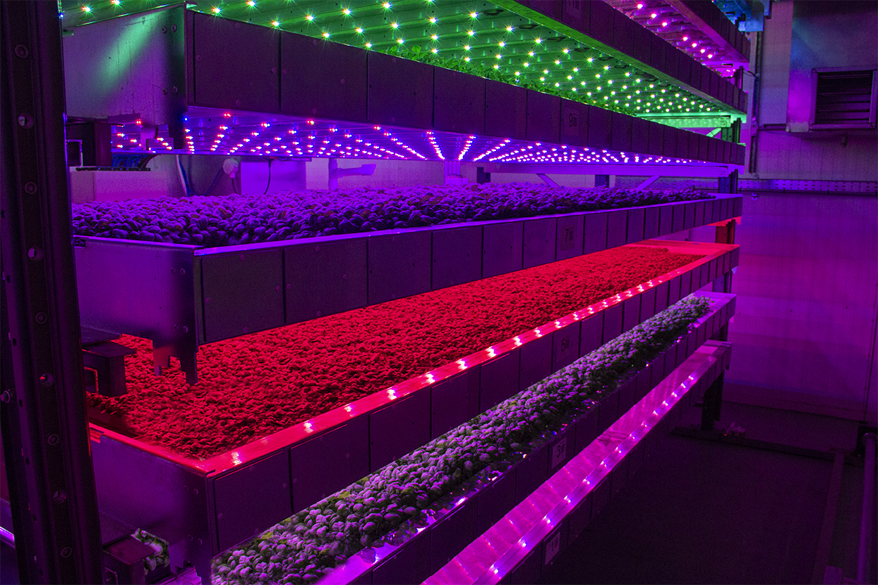 You are currently viewing IGS intelligent system design – FTS finds out more